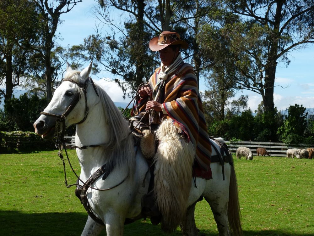 A "Chagra", an Andean cowboy