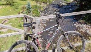 Finados or Day of the Dead