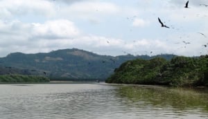 Parque El Ejido Art Fair