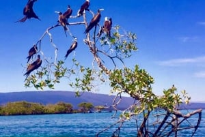 10-Day Machu Picchu and Galapagos Islands Tour