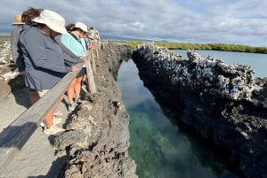 2 ISABELA ISLAND TOP TOURS: TINTORERAS ISLET & TUNELES CAPE