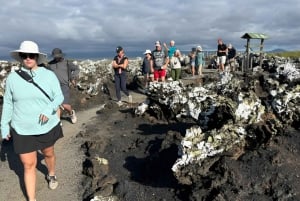 2 ISABELA ISLAND TOP TOURS: TINTORERAS ISLET & TUNELES CAPE