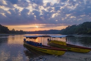 2 Full Days Amazon: Explore Ecuador’s Rainforest from Quito