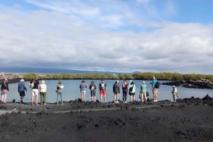 2 ISABELAN SAAREN HUIPPUKIERROSTA: TINTORERAS-SAARI & TUNELES-KAIPPI