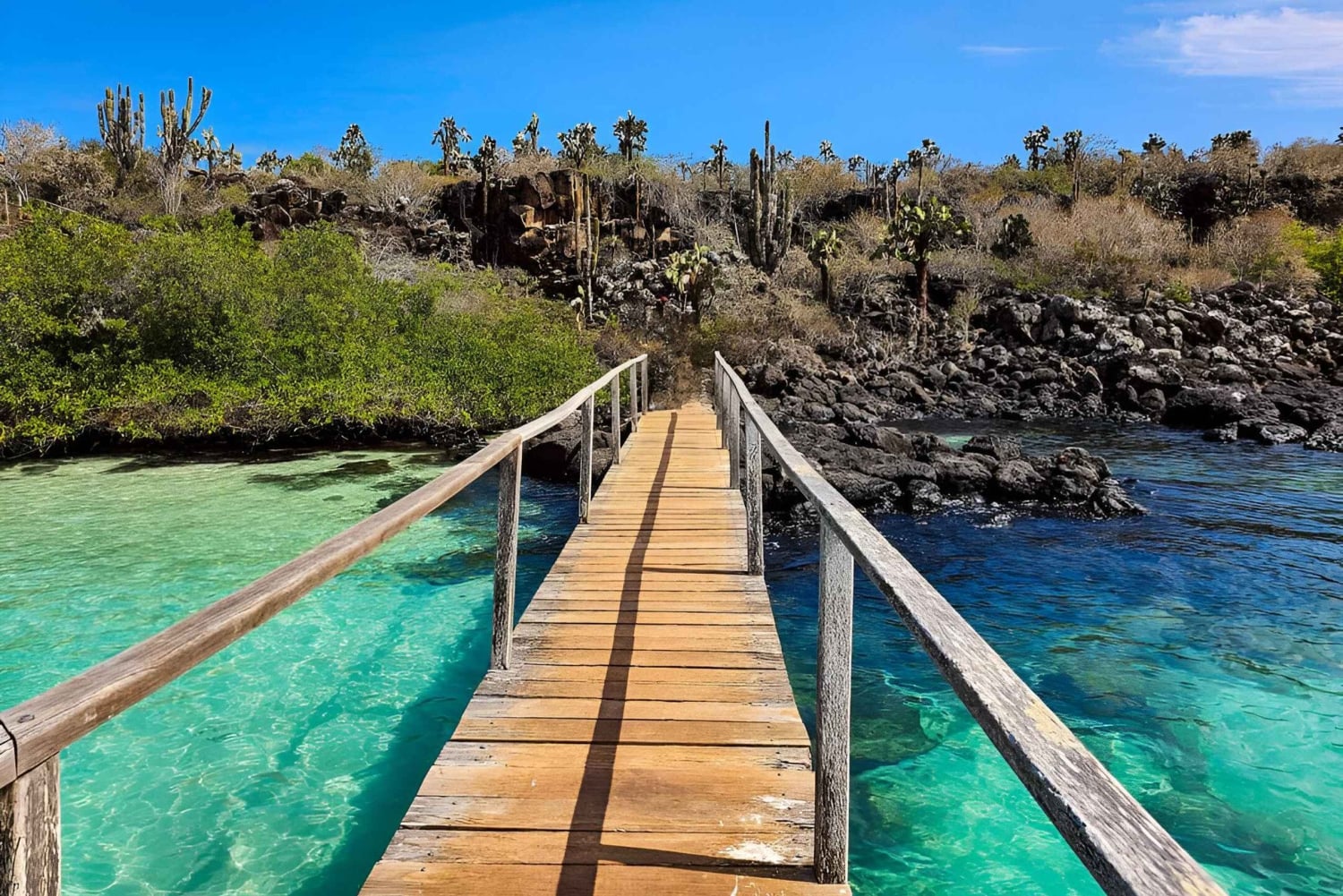 3 BESTE GALAPAGOS TOURS- BESTE WANDEL EN SNORKEL TOP ERVARING