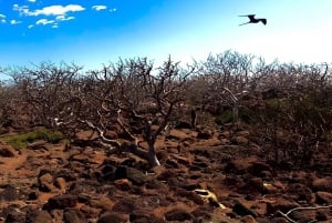 DIE 3 BESTEN GALAPAGOS TOUREN - DIE BESTE WANDERUNG UND DAS BESTE SCHNORCHELERLEBNIS