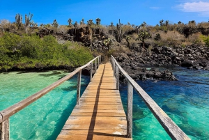 3 BESTE GALAPAGOS TOURS- BESTE WANDEL EN SNORKEL TOP ERVARING
