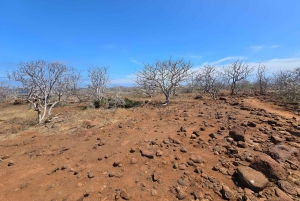 3 BESTE GALAPAGOS TOURS- BESTE WANDEL EN SNORKEL TOP ERVARING
