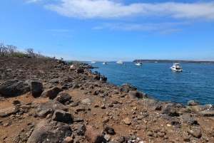 3 BESTE GALAPAGOS TOURS- BESTE WANDEL EN SNORKEL TOP ERVARING