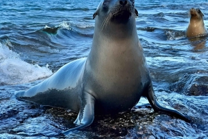 3 BESTE GALAPAGOS TOURS- BESTE WANDEL EN SNORKEL TOP ERVARING
