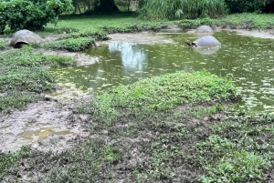 3 BESTE GALAPAGOS TOURS- BESTE WANDEL EN SNORKEL TOP ERVARING