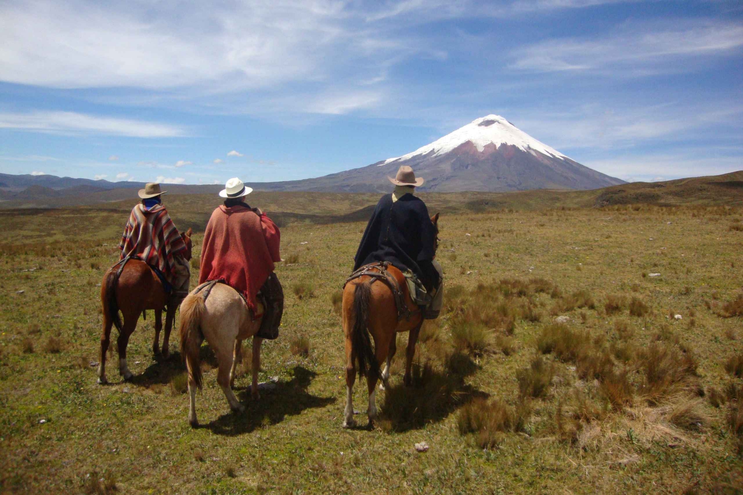 3-Day Adventure: Quito, Cotopaxi, Quilotoa, Baños, Jungle