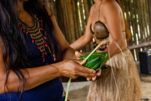 3-Day Adventure: Quito, Cotopaxi, Quilotoa, Baños, Jungle