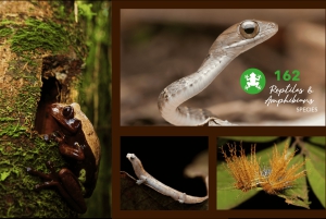 3-Day Adventure: Quito, Cotopaxi, Quilotoa, Baños, Jungle