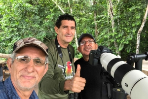 3-Day Adventure: Quito, Cotopaxi, Quilotoa, Baños, Jungle