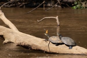 3-Day Adventure: Quito, Cotopaxi, Quilotoa, Baños, Jungle