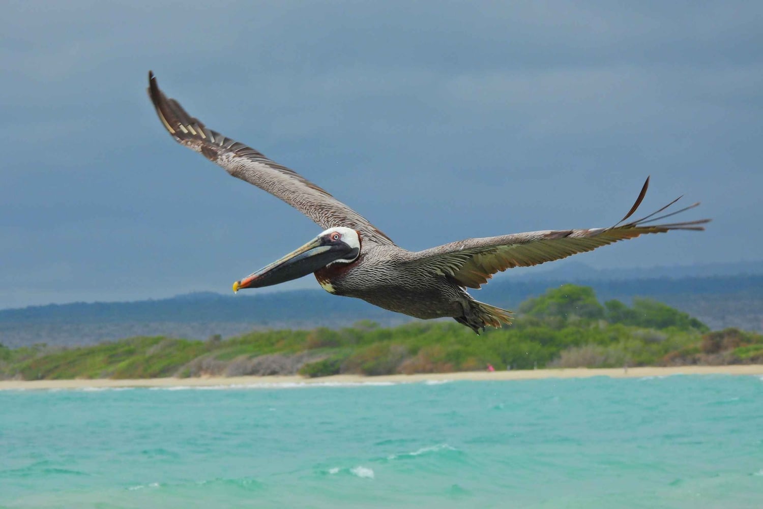 3-Day Galapagos Trip for Traveler Without Much Time