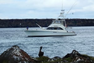 3-dagars Galapagos-resa för resenärer med begränsad tid