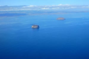 3-dagars Galapagos-resa för resenärer med begränsad tid
