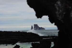 3-dagars Galapagos-resa för resenärer med begränsad tid