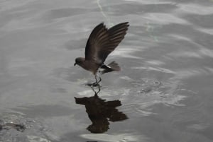 3-Day Galapagos Trip for Traveler Without Much Time