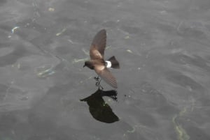 3-Day Galapagos Trip for Traveler Without Much Time