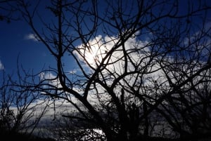 3-Day Galapagos Trip for Traveler Without Much Time