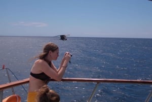 3-Day Galapagos Trip for Traveler Without Much Time