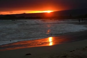 3-Day Galapagos Trip for Traveler Without Much Time