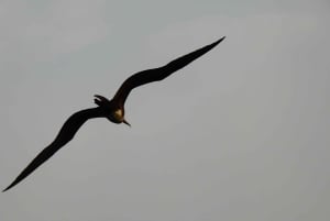 3-Day Galapagos Trip for Traveler Without Much Time