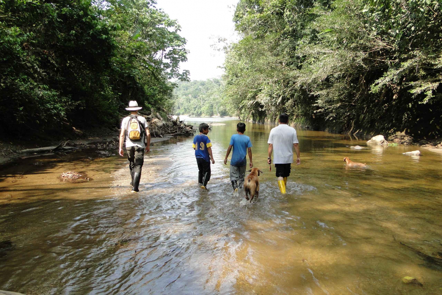 3 dagars djungeltur Expedition Amazonia Ecuador Allt ingår