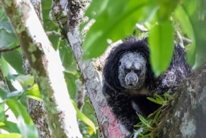 3 päivän viidakkokierros Expedition Amazonia Ecuador Kaikki mukana