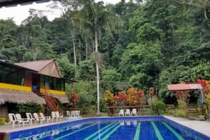 Passeio de 3 dias na selva Expedição Amazônia Equador Tudo incluído