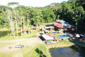 3 Tage Dschungeltour Expedition Amazonien Ecuador Alles inklusive