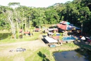 3 dagars djungeltur Expedition Amazonia Ecuador Allt ingår