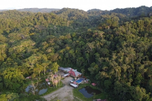 3-dniowa wycieczka do dżungli Ekspedycja Amazonia Ekwador Wszystko wliczone w cenę