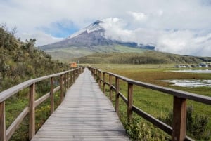 Tour de 3 días por los Andes y el Amazonas desde Quito