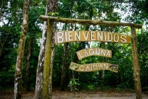 3 giorni alla scoperta dell'Amazzonia ecuadoriana (tour dalla città di Tena)