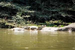 3 giorni alla scoperta dell'Amazzonia ecuadoriana (tour dalla città di Tena)