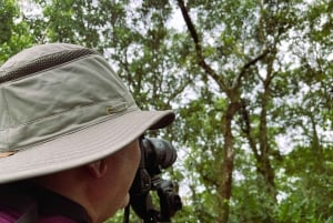 3 giorni alla scoperta dell'Amazzonia ecuadoriana (tour dalla città di Tena)