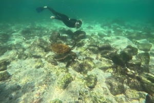 3 日間ツアー スタ クルーズ + イザベラ + スタ フェ + 宿泊施設 + 往復送迎