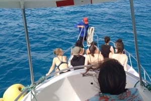 3 日間ツアー スタ クルーズ + イザベラ + スタ フェ + 宿泊施設 + 往復送迎