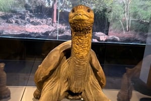 3 日間ツアー スタ クルーズ + イザベラ + スタ フェ + 宿泊施設 + 往復送迎