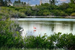 3 日間ツアー スタ クルーズ + イザベラ + スタ フェ + 宿泊施設 + 往復送迎