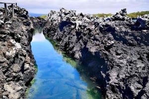 3 日間ツアー スタ クルーズ + イザベラ + スタ フェ + 宿泊施設 + 往復送迎