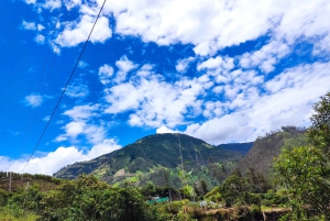 ロス パハロスまでの 3 時間のジープ、ATV、またはバイク旅行