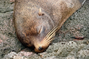 DIE 3 BESTEN GALAPAGOS TOUREN - DIE BESTE WANDERUNG UND DAS BESTE SCHNORCHELERLEBNIS