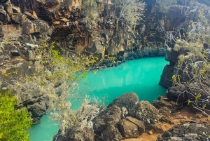 DIE 3 BESTEN GALAPAGOS TOUREN - DIE BESTE WANDERUNG UND DAS BESTE SCHNORCHELERLEBNIS