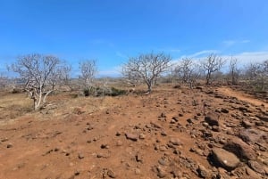 DIE 3 BESTEN GALAPAGOS TOUREN - DIE BESTE WANDERUNG UND DAS BESTE SCHNORCHELERLEBNIS