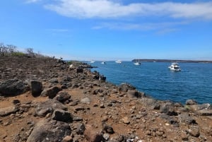 DIE 3 BESTEN GALAPAGOS TOUREN - DIE BESTE WANDERUNG UND DAS BESTE SCHNORCHELERLEBNIS